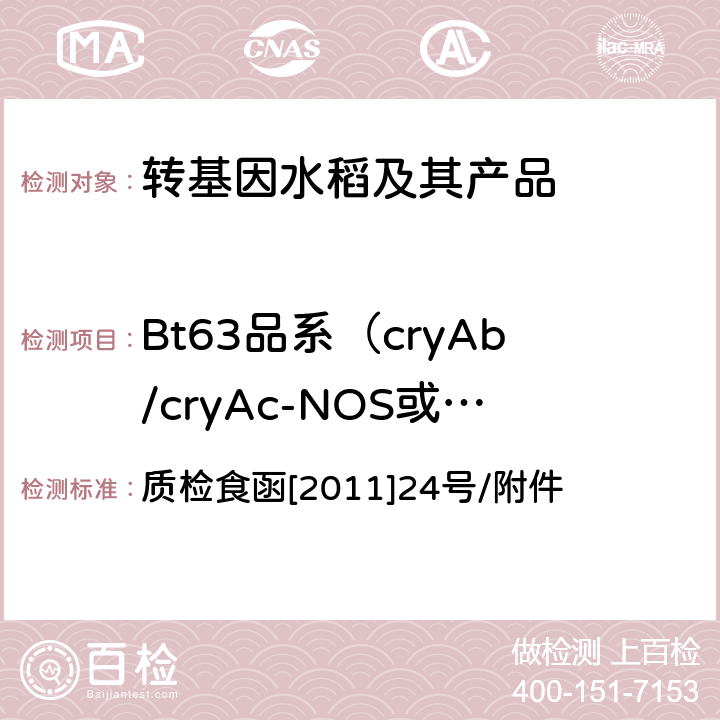 Bt63品系（cryAb/cryAc-NOS或cryAb/c-NOS)或Btc 《输欧稻米及米制品转基因实时荧光PCR定性检测实验室标准操作规程》 质检食函[2011]24号/附件