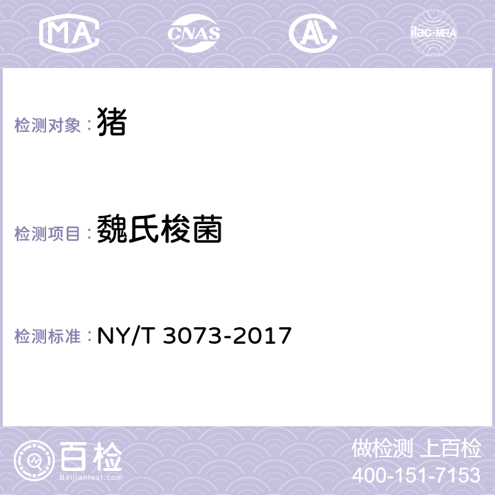 魏氏梭菌 NY/T 3073-2017 家畜魏氏梭菌病诊断技术
