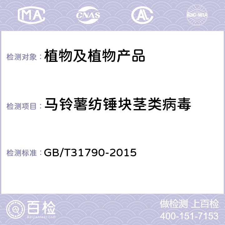 马铃薯纺锤块茎类病毒 马铃薯纺锤块茎类病毒检疫鉴定方法 GB/T31790-2015