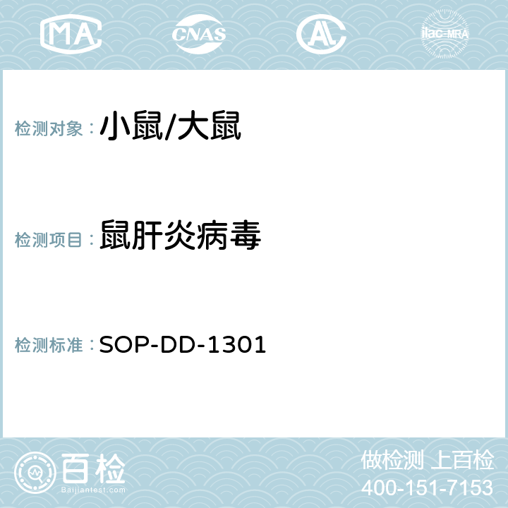 鼠肝炎病毒 SOP-DD-1301 小RT-PCR检测方法 