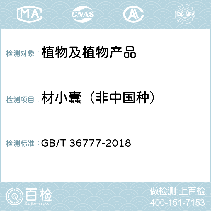 材小蠹（非中国种） 材小蠹(非中国种)检疫鉴定方法 GB/T 36777-2018