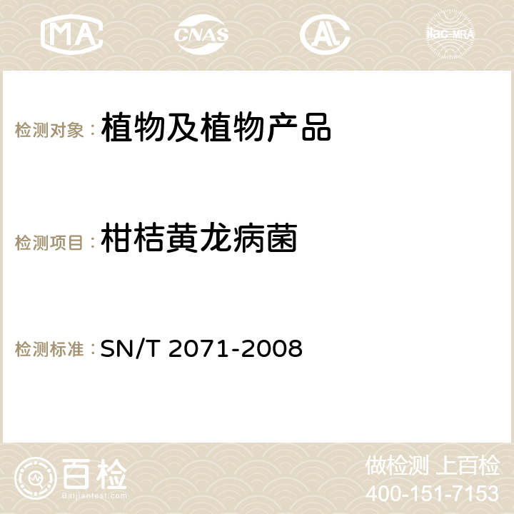 柑桔黄龙病菌 亚洲柑桔黄龙病菌检疫鉴定方法 SN/T 2071-2008