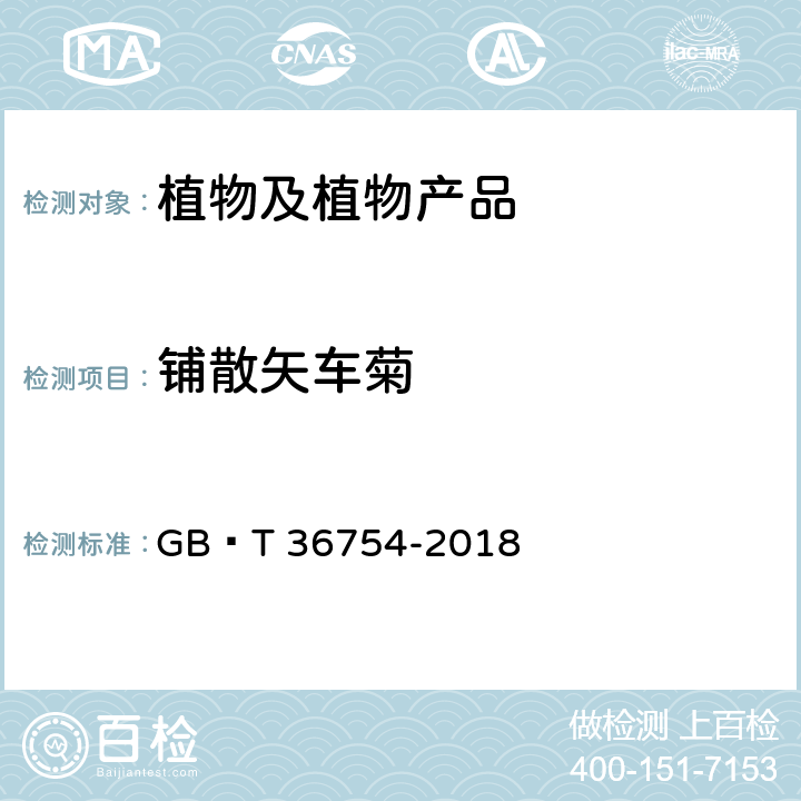 铺散矢车菊 铺散矢车菊检疫鉴定方法 GB∕T 36754-2018