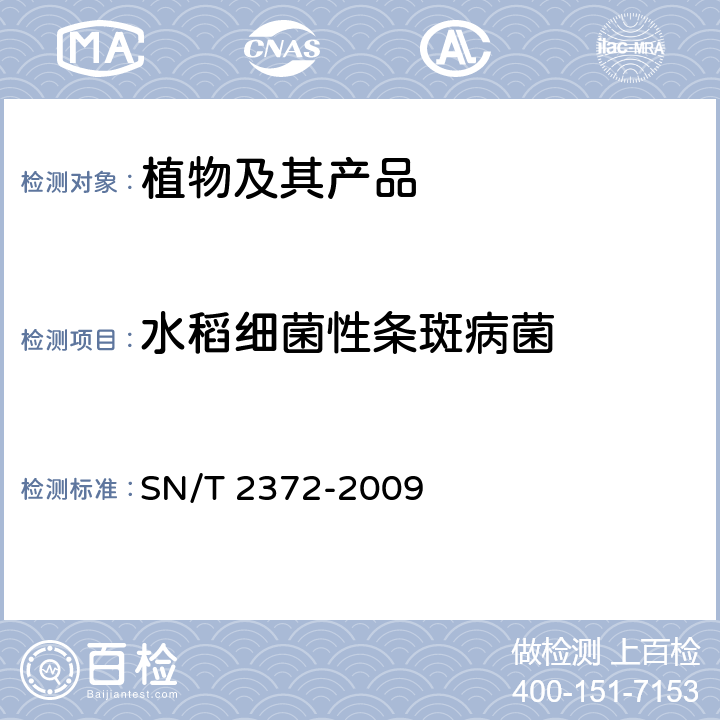 水稻细菌性条斑病菌 水稻白叶枯病菌、水稻细菌性条斑病菌的检测方法 SN/T 2372-2009