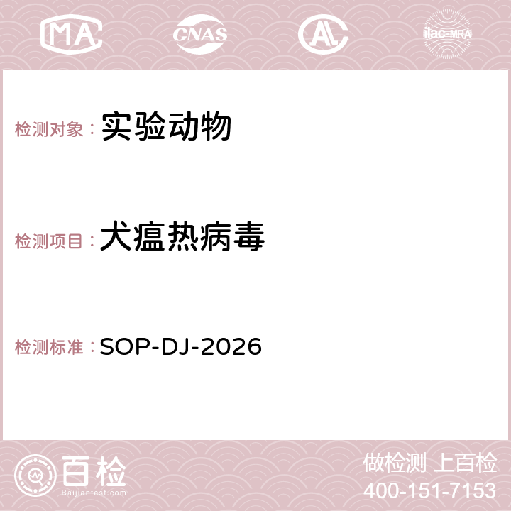 犬瘟热病毒 SOP-DJ-2026 检测方法 
