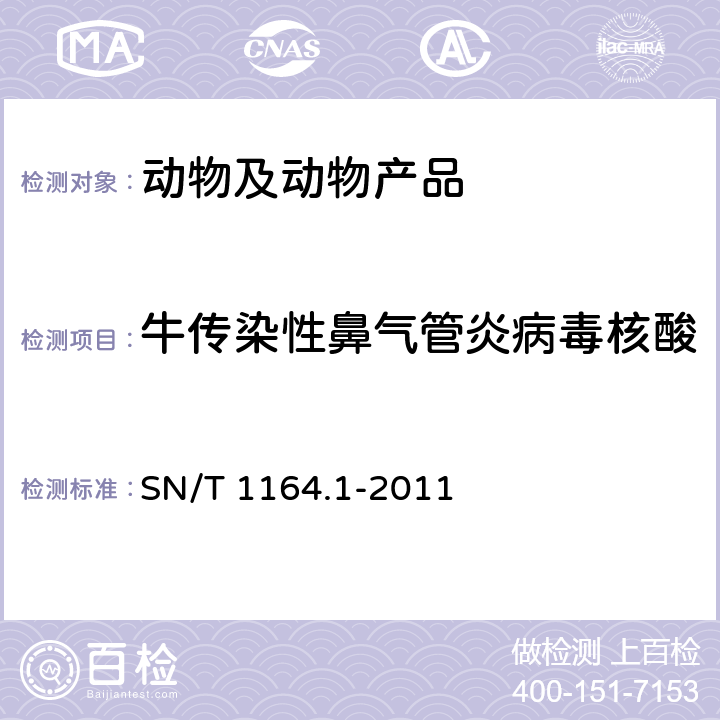 牛传染性鼻气管炎病毒核酸 牛传染性鼻气管炎检疫技术规范 SN/T 1164.1-2011