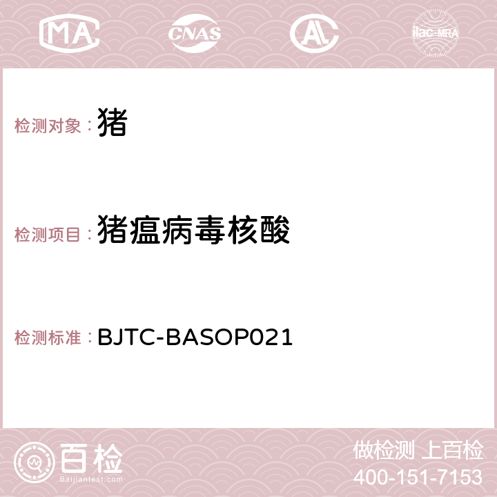 猪瘟病毒核酸 猪瘟病毒RT-PCR检测方法 BJTC-BASOP021