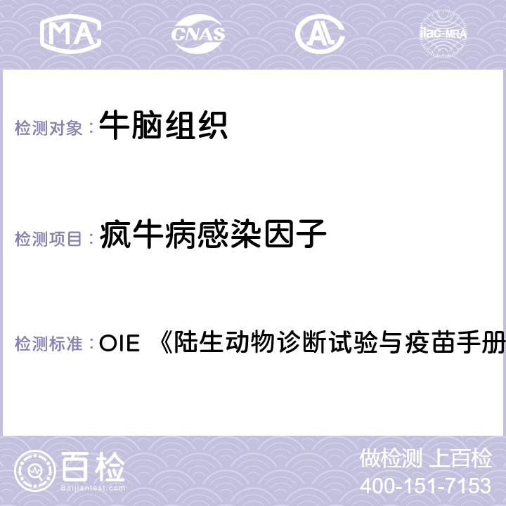 疯牛病感染因子 免疫组织化学法 OIE 《陆生动物诊断试验与疫苗手册》（2018版） 3.4.5章