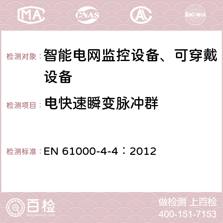 电快速瞬变脉冲群 电磁兼容 试验和测量技术 电快速瞬变脉冲群抗扰度试验 EN 61000-4-4：2012