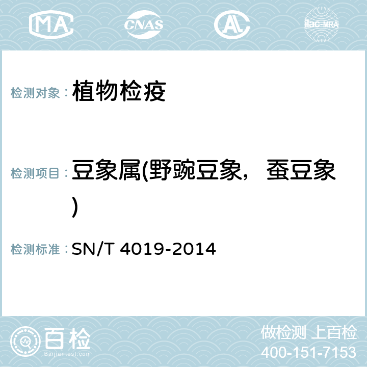 豆象属(野豌豆象，蚕豆象) SN/T 4019-2014 豆象属检疫鉴定方法