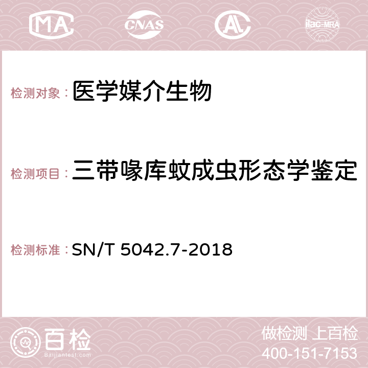 三带喙库蚊成虫形态学鉴定 常见蚊类鉴定方法 第7部分：三带喙库蚊 SN/T 5042.7-2018