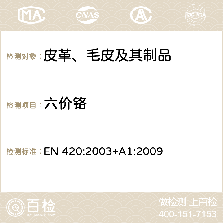 六价铬 保护性手套 通用要求和测试方法 EN 420:2003+A1:2009