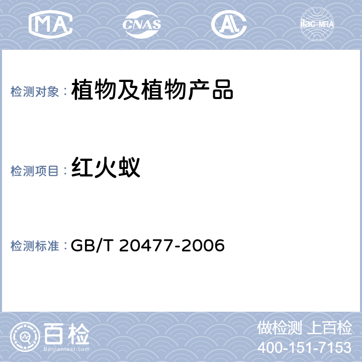 红火蚁 红火蚁鉴定方法 GB/T 20477-2006