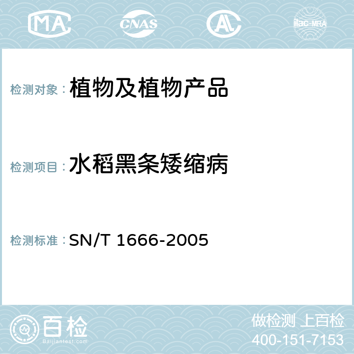 水稻黑条矮缩病 水稻条纹病毒、水稻矮缩病毒、水稻黑条矮缩病毒的检测方法普通RT－PCR方法和实时荧光RT－PCR方法 SN/T 1666-2005