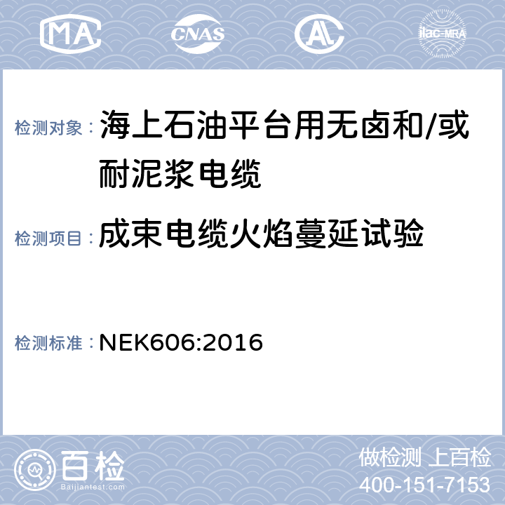 成束电缆火焰蔓延试验 海上石油平台用无卤和/或耐泥浆电缆技术规范 NEK606:2016 4.5