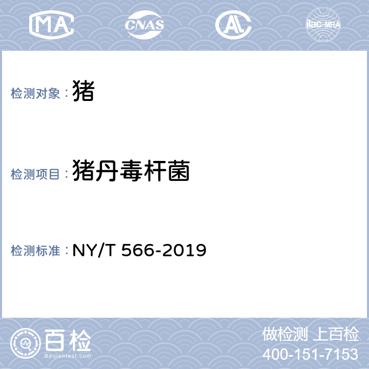 猪丹毒杆菌 NY/T 566-2019 猪丹毒诊断技术