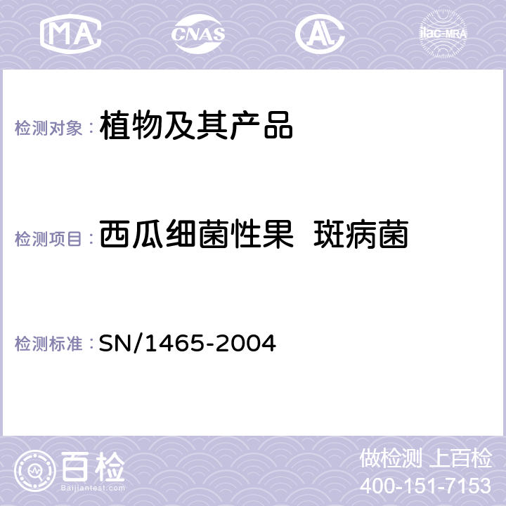 西瓜细菌性果  斑病菌 SN/T 1465-2004 西瓜细菌性果斑病菌检疫鉴定方法