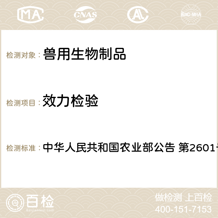 效力检验 动物法 口蹄疫O型、A型二价灭活疫苗（OHM/02株+AKT-III株）（悬浮培养工艺）制造与检验试行规程 中华人民共和国农业部公告 第2601号附件2 3.7