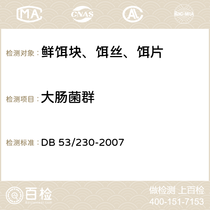 大肠菌群 鲜饵块、饵丝、饵片 DB 53/230-2007 6.3.8/GB/T 4789.3-2003