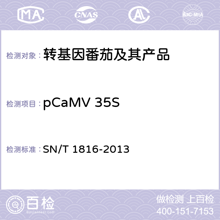pCaMV 35S 转基因成分检测 番茄检测方法 SN/T 1816-2013