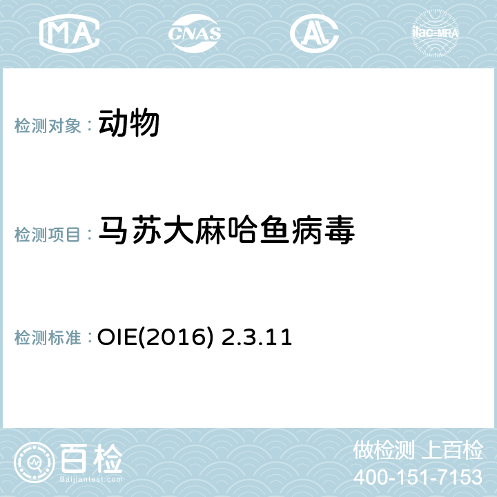 马苏大麻哈鱼病毒 水生动物疾病诊断手册 OIE OIE(2016) 2.3.11