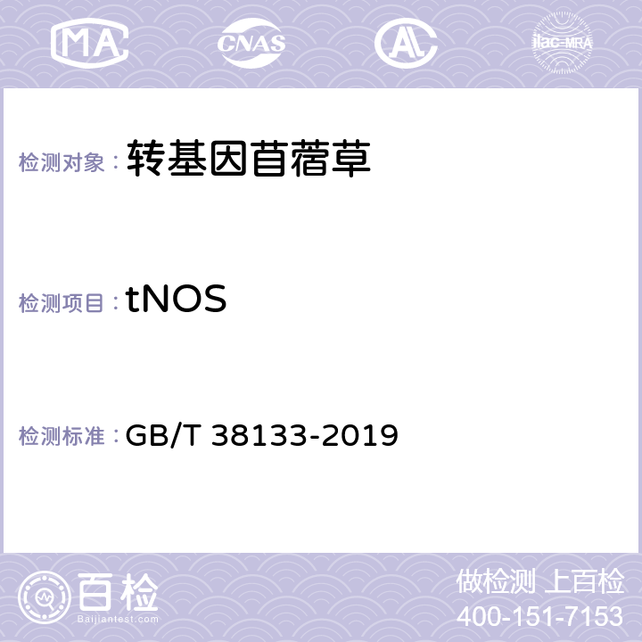 tNOS GB/T 38133-2019 转基因苜蓿实时荧光PCR检测方法