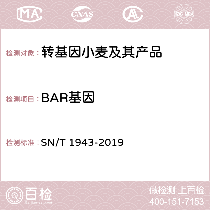 BAR基因 小麦及其制品中转基因成分普通PCR和实时荧光PCR定性检测方法 SN/T 1943-2019