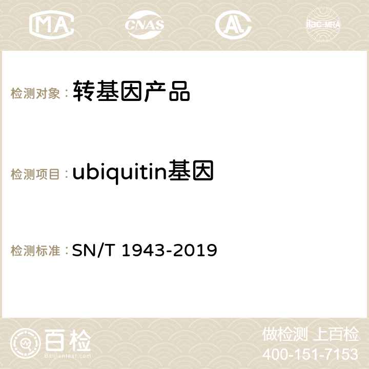 ubiquitin基因 小麦中转基因成分PCR和实时荧光PCR定性检测方法 SN/T 1943-2019