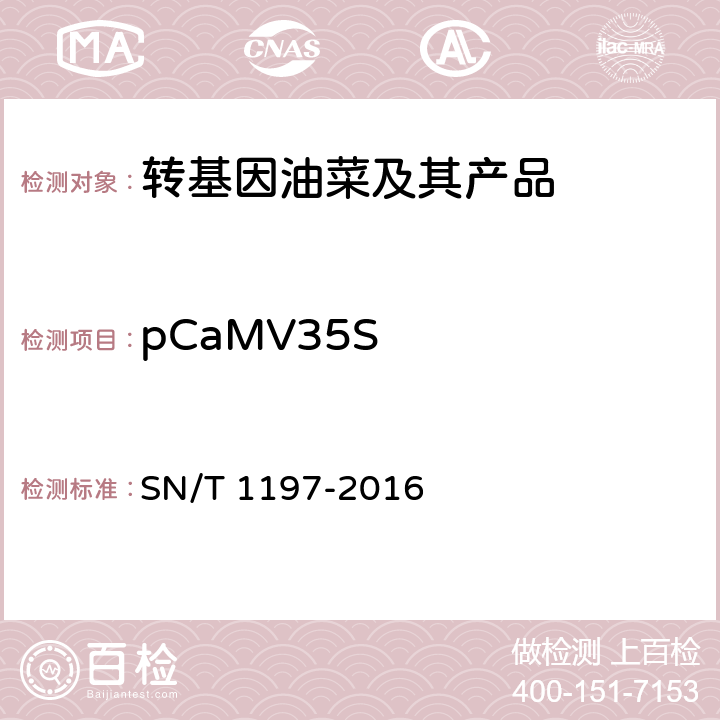 pCaMV35S 油菜中转基因成分检测 普通PCR和实时荧光PCR方法 SN/T 1197-2016