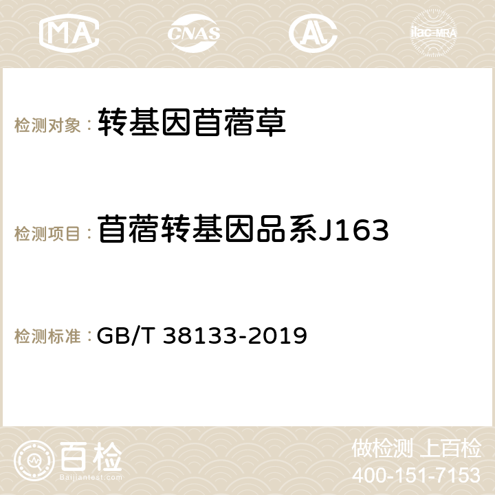 苜蓿转基因品系J163 GB/T 38133-2019 转基因苜蓿实时荧光PCR检测方法