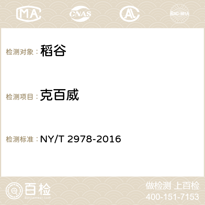 克百威 绿色食品 稻谷 NY/T 2978-2016 3.4（GB/T 20770-2008）