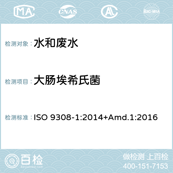 大肠埃希氏菌 水质 大肠杆菌和大肠杆菌类的检测与计数 第1部分：膜过滤法 ISO 9308-1:2014+Amd.1:2016