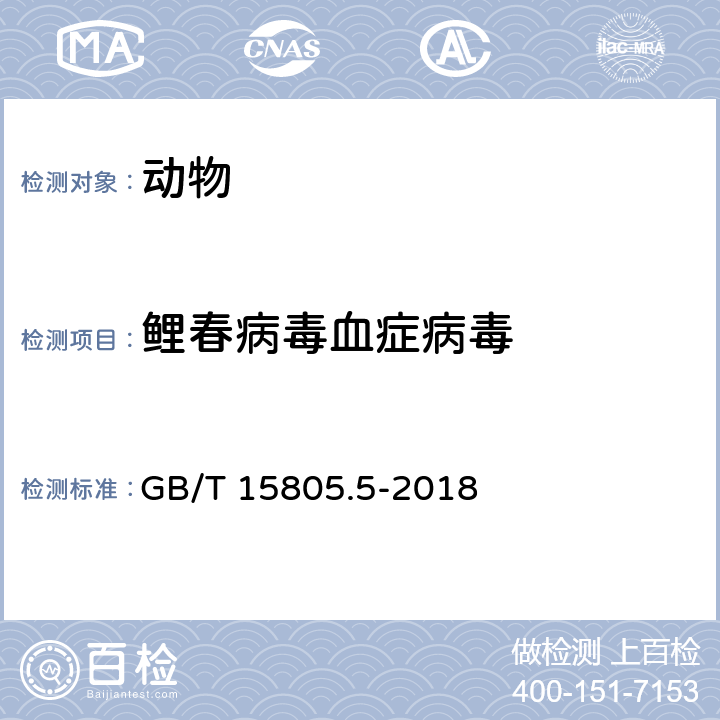 鲤春病毒血症病毒 鲤春病毒血症诊断规程 GB/T 15805.5-2018 /8.2.2、8.3