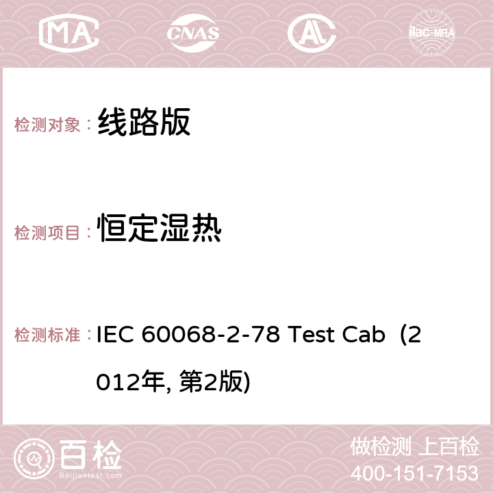 恒定湿热 定态湿热 IEC 60068-2-78 Test Cab (2012年, 第2版)