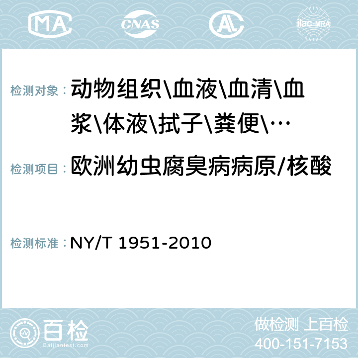 欧洲幼虫腐臭病病原/核酸 NY/T 1951-2010 蜜蜂幼虫腐臭病诊断技术规范