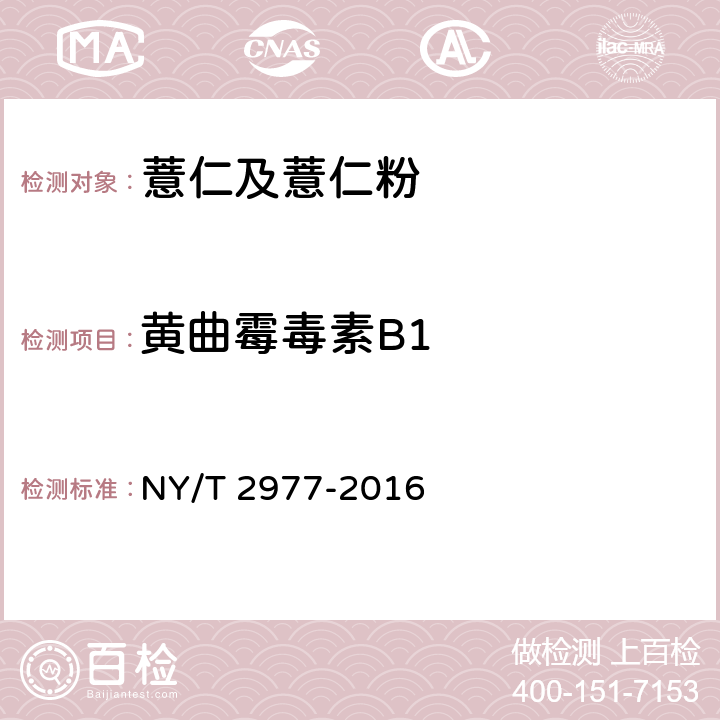 黄曲霉毒素B1 绿色食品 薏仁及薏仁粉 NY/T 2977-2016 附录A（GB 5009.22-2016）