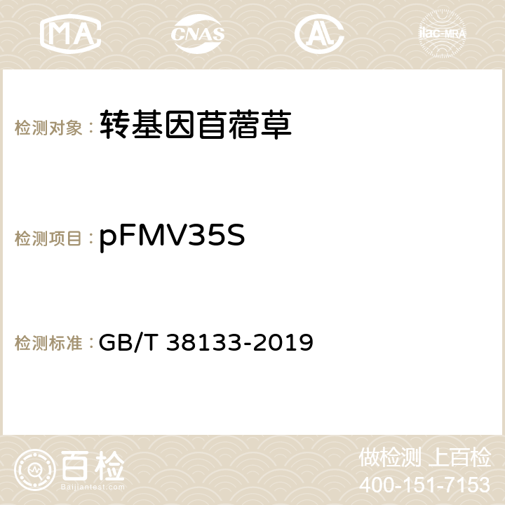 pFMV35S 转基因苜蓿实时荧光PCR检测方法 GB/T 38133-2019