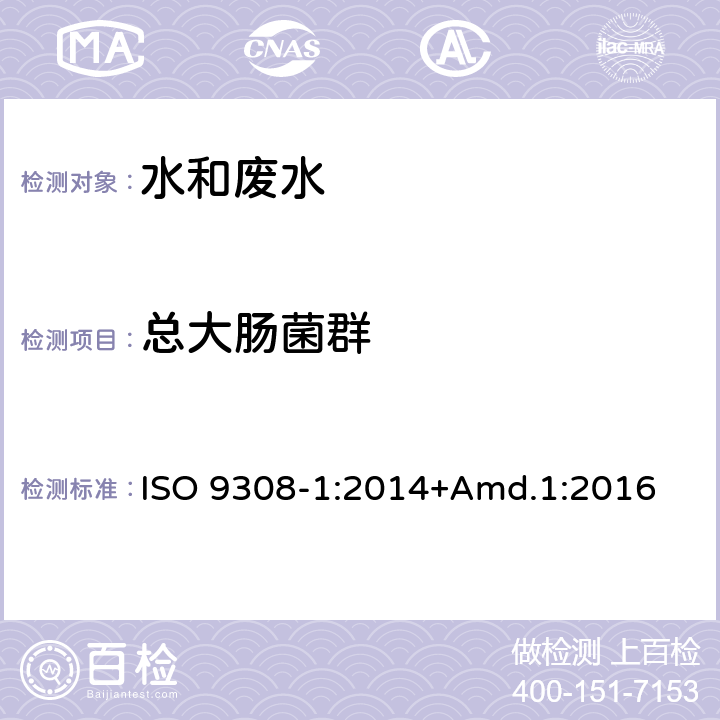 总大肠菌群 水质 大肠杆菌和大肠杆菌类的检测与计数 第1部分：膜过滤法 ISO 9308-1:2014+Amd.1:2016
