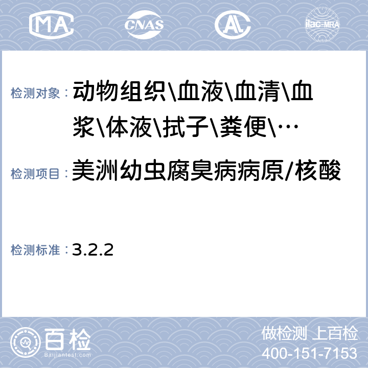 美洲幼虫腐臭病病原/核酸 陆生动物诊断试验和疫苗手册（2019年） 3.2.2