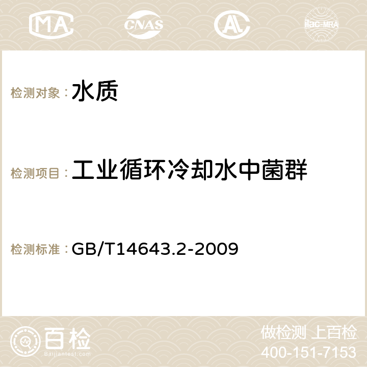 工业循环冷却水中菌群 GB/T 14643.2-2009 工业循环冷却水中菌藻的测定方法 第2部分:土壤菌群的测定 平皿计数法