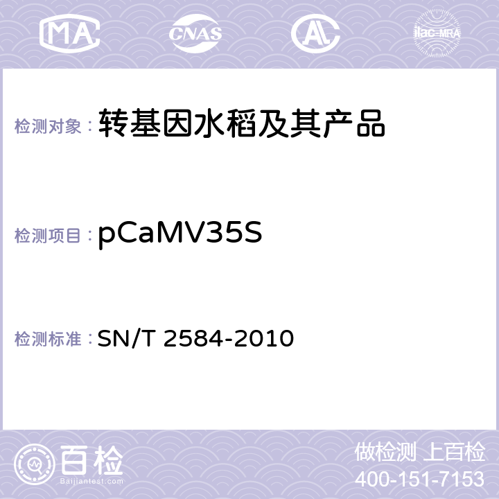pCaMV35S 水稻及其产品中转基因成分实时荧光PCR检测方法 SN/T 2584-2010