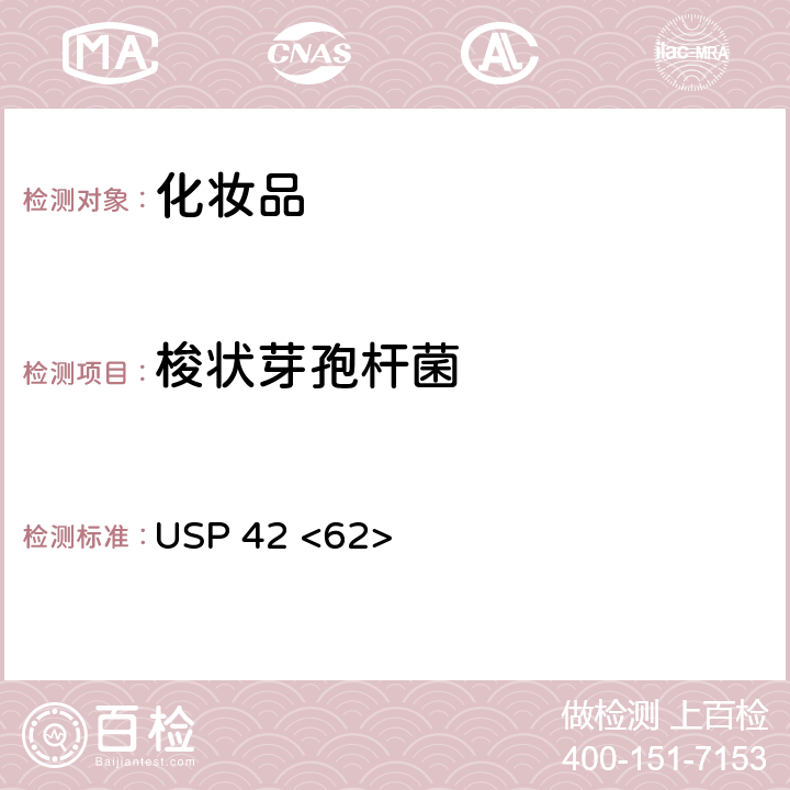 梭状芽孢杆菌 非无菌产品的微生物检验：特定微生物的检验 USP 42 <62>