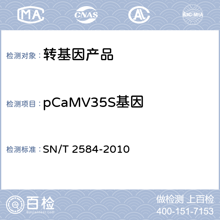 pCaMV35S基因 SN/T 2584-2010 水稻及其产品中转基因成分 实时荧光PCR检测方法