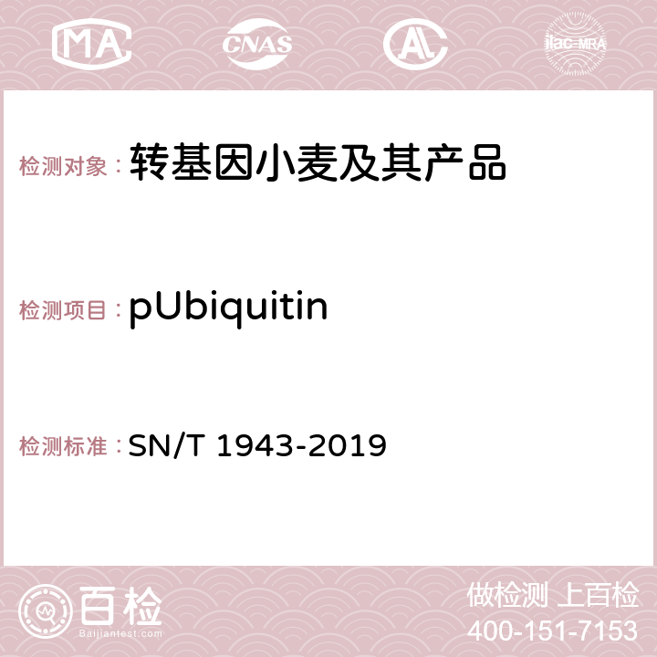 pUbiquitin 小麦及其制品中转基因成分普通PCR和实时荧光PCR定性检测方法 SN/T 1943-2019