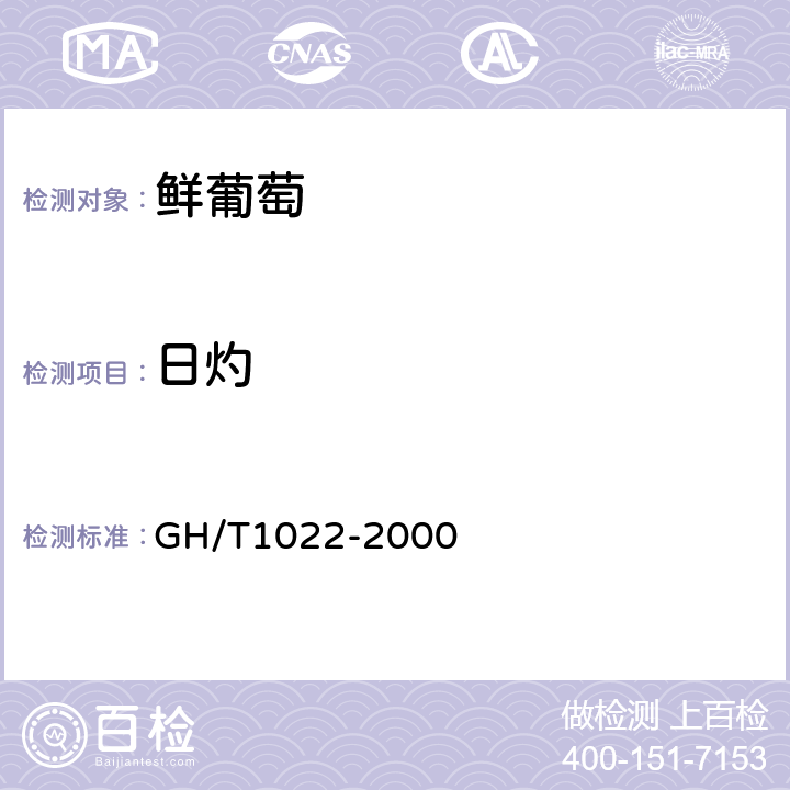 日灼 鲜葡萄 GH/T1022-2000