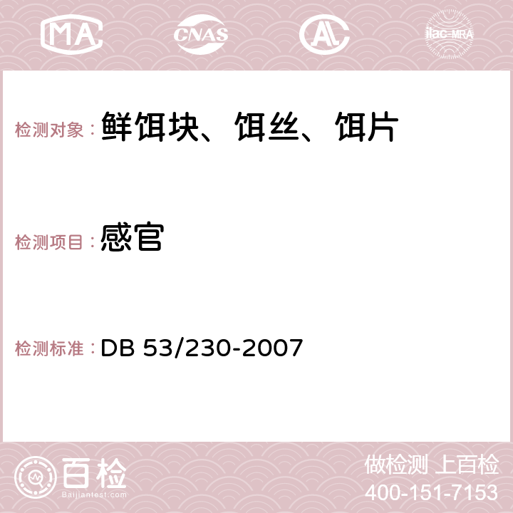 感官 鲜饵块、饵丝、饵片 DB 53/230-2007 6.1