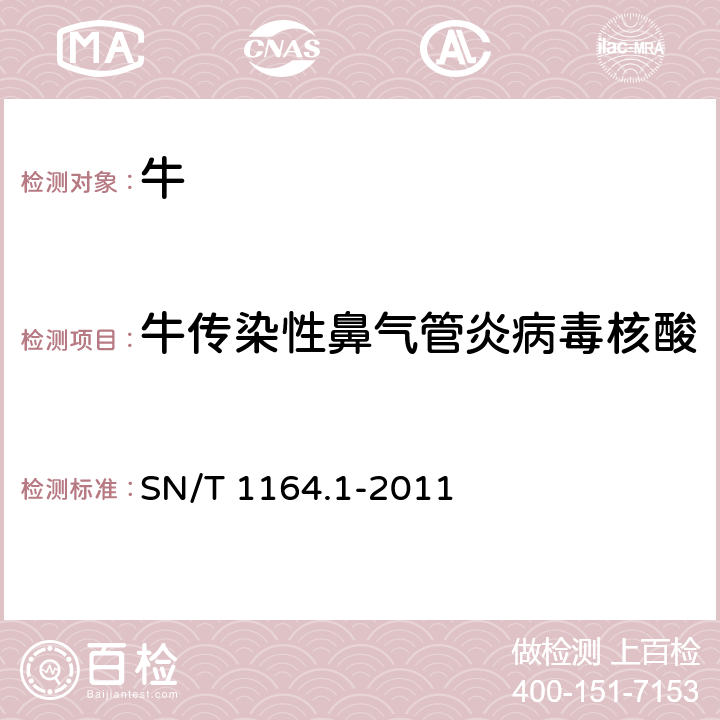 牛传染性鼻气管炎病毒核酸 牛传染性鼻气管炎检疫技术规范 SN/T 1164.1-2011