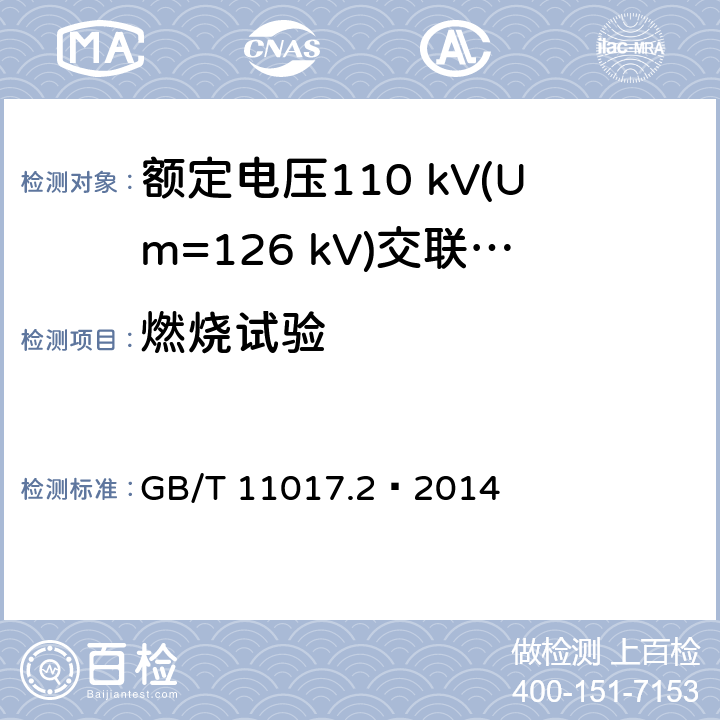 燃烧试验 额定电压110 kV(Um=126 kV)交联聚乙烯绝缘电力电缆及其附件 第2部分：电缆 GB/T 11017.2—2014