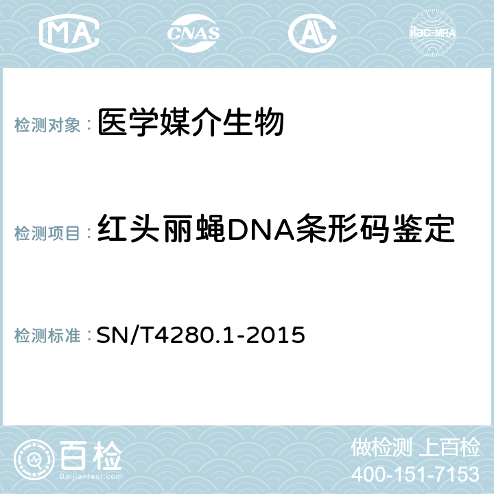 红头丽蝇DNA条形码鉴定 SN/T 4280.1-2015 国境口岸红头丽蝇DNA条形码鉴定方法