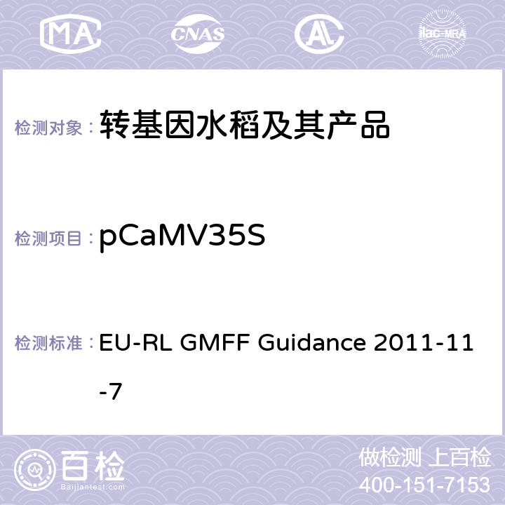 pCaMV35S EU-RL GMFF Guidance 2011-11-7 应用P-35S, T-NOS和CryIAb/Ac的实时PCR方法检测转基因大米成分 